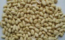 Blanched Peanut