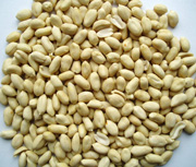 Blanched Peanut