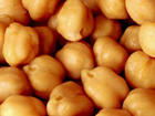 Chick Pea