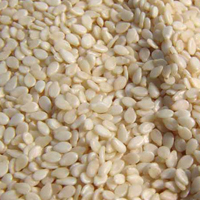 White Sesame Seeds 