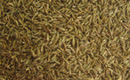 Cumin Seeds