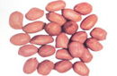 Peanut Kernels