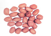 Peanut Kernels