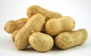 Peanuts in Shell