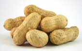 Peanuts in Shell