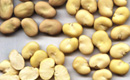 Peeled Broad Beans