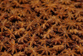 Star Aniseed