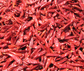 Tianjin Chilli