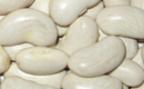 White Kidney Bean