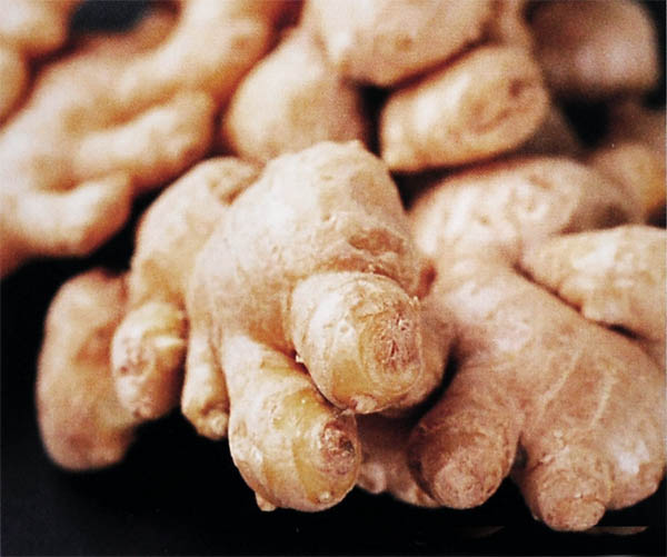 fresh ginger