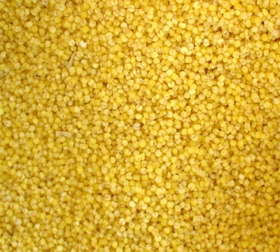 polish millet