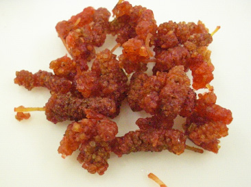 Dried Mulberry