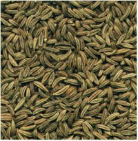 Cumin Seeds