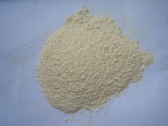 Dehydrated White Onion Powder