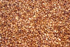Roasted Buckwheat Kernels