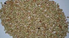 Hulled Buckwheat Kernels