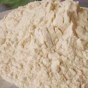 Soybean Protein Powder