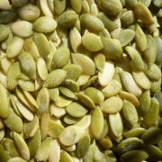 The Benefits of Pumpkin Seeds Kernels