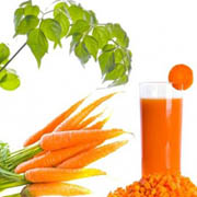 carrot juice