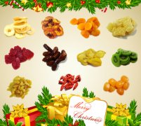 Dried Fruits for Christmas Gifts