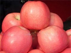 Apple Rings Help Solve Unsalable Apples