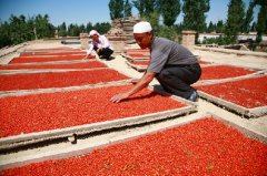 The Process to Make Dried Goji Berries