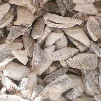 Dried Persimmon 
