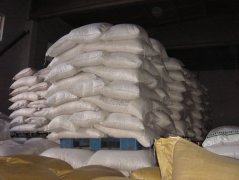 Export Pumpkin Seeds to Mexico