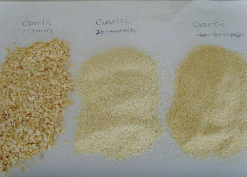 Dehydrated Garlic Granules 