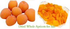 Calories in Dried Apricots is Different from Fresh Apricots