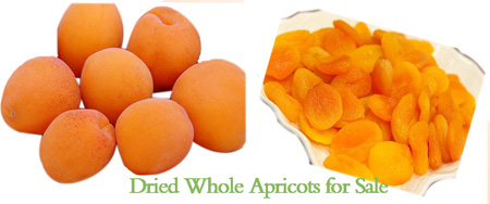 Calories in Dried Apricots 