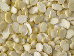 Peeled Broad Peans for Sale 