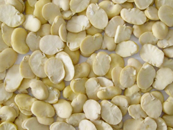 Peeled Broad Peans for Sale 