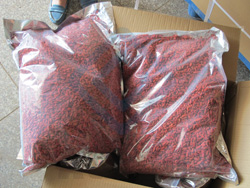 Goji Berries for Sale 